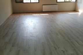companyProduct