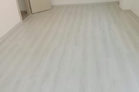 companyProduct