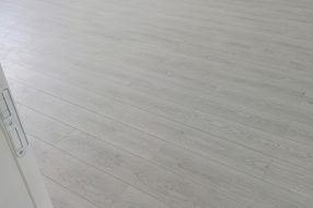 companyProduct