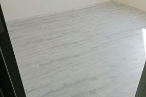 companyProduct