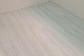 companyProduct