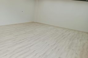 companyProduct