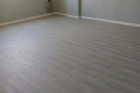 companyProduct