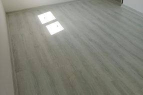 companyProduct