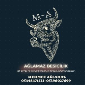 galeri