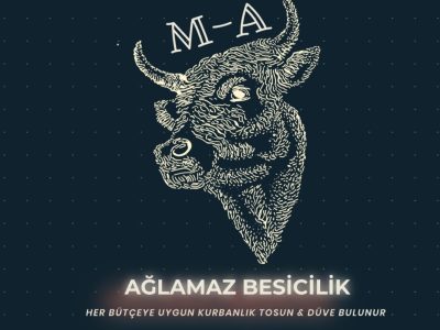 Ağlamaz Besi Çiftliği