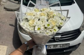 companyProduct