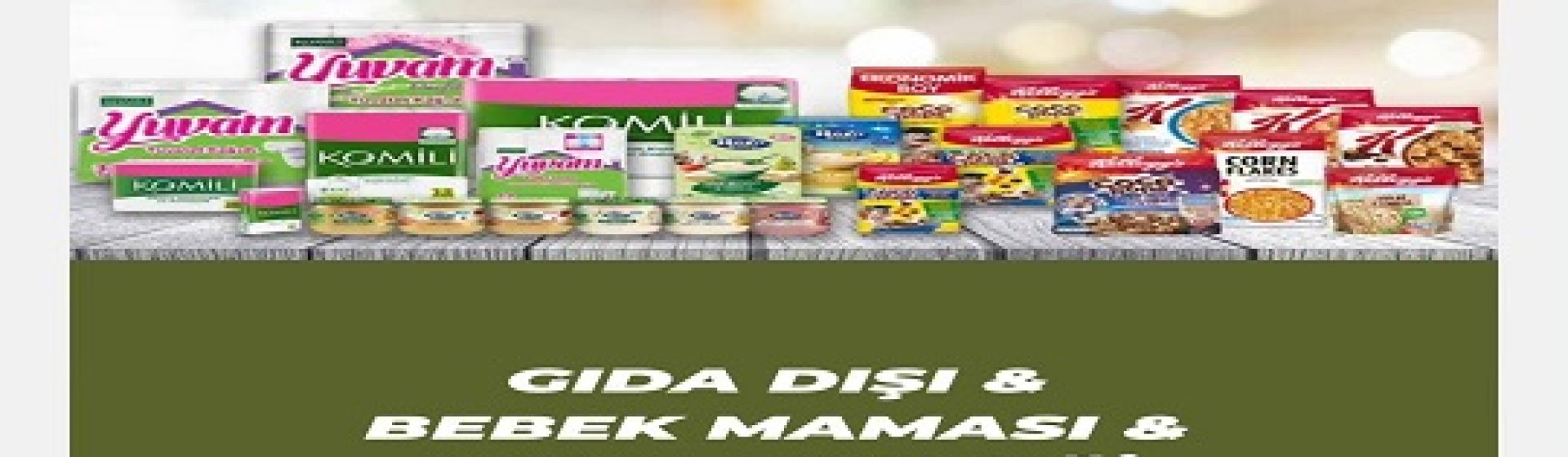 Ahtapot Qıda