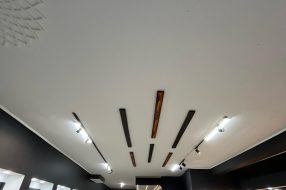 companyProduct