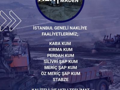 Alk Group Maden