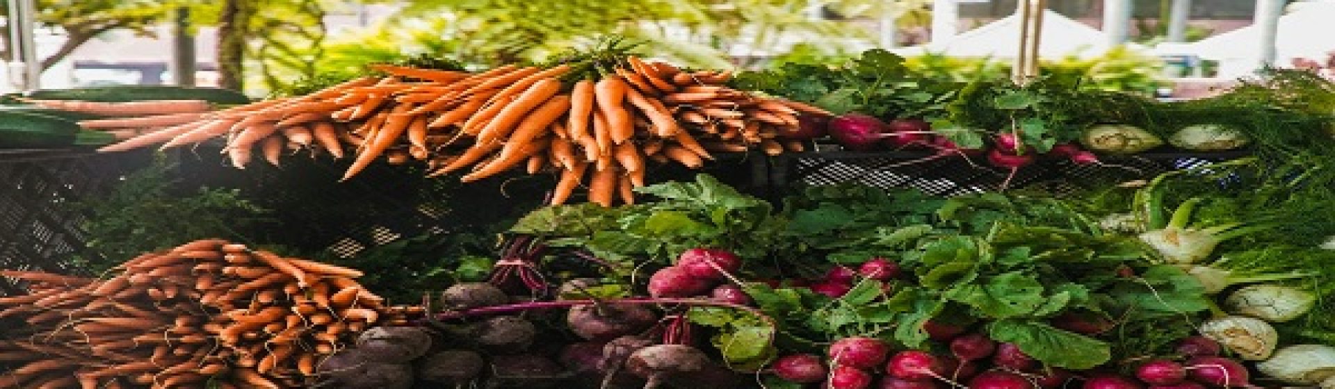 Alkan Market
