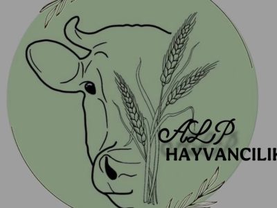 Alp Hayvancılık