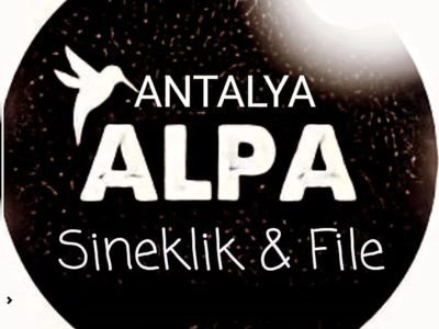 Alpa Sineklik & File