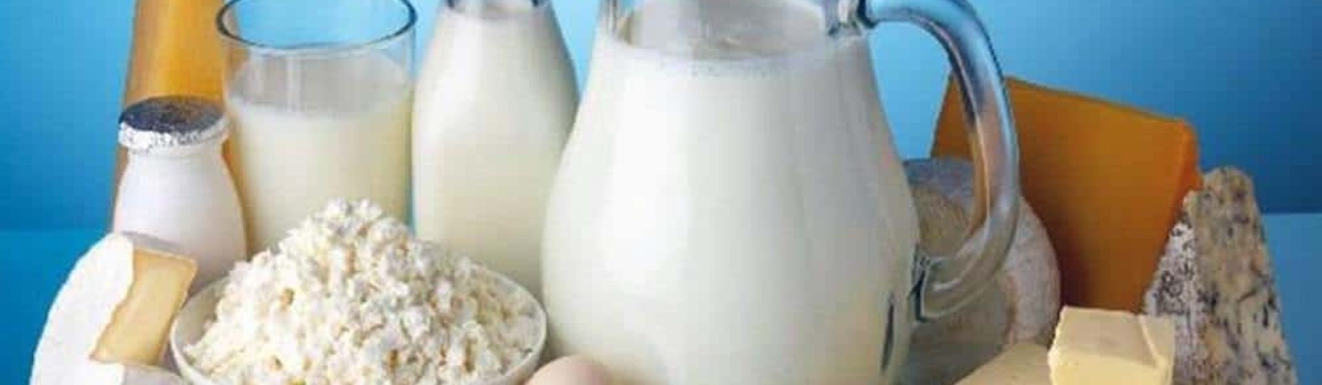 Anka Süt ve Süt Ürünleri
