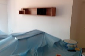 companyProduct