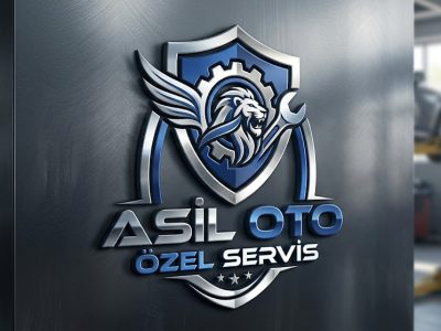Asil Oto Özel Servis