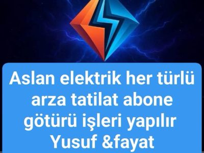 Aslan Elektrik