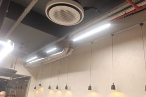 companyProduct