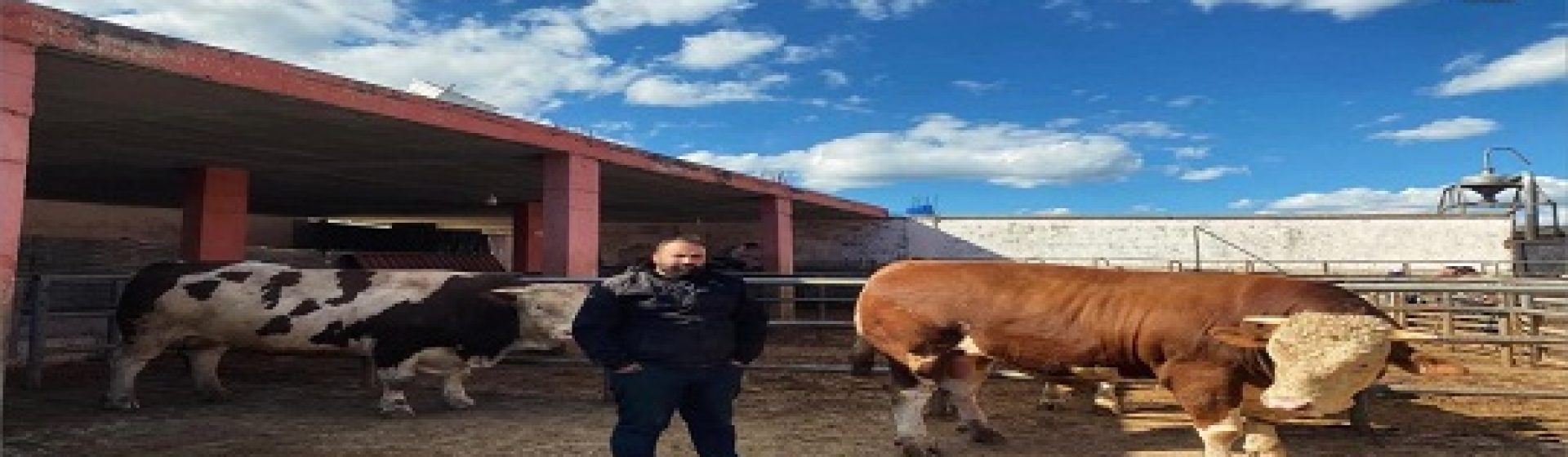 Avcıoğlu Et Entegre Besi Tesisi