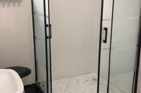 companyProduct
