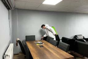 companyProduct