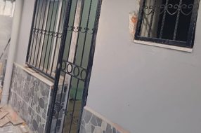 companyProduct