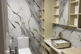 companyProduct