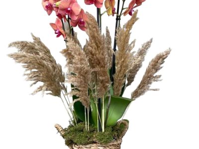 Beylem Çiçekçilik