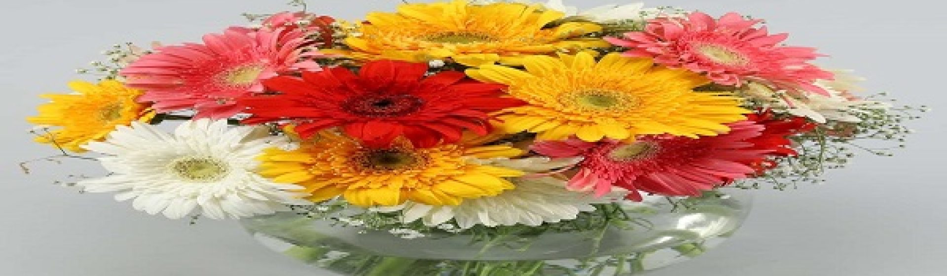 Beylem Çiçekçilik