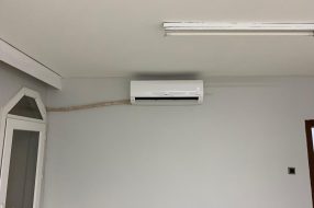 companyProduct