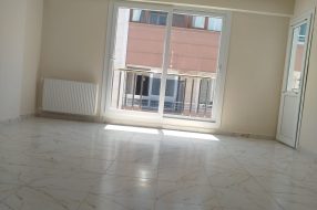 companyProduct