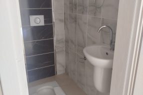 companyProduct