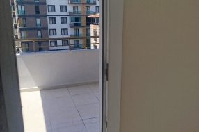 companyProduct