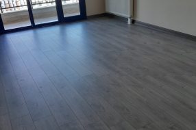 companyProduct
