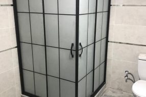 companyProduct