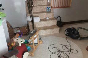 companyProduct