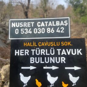 galeri