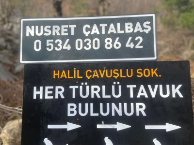 Çatalbaş Tavukçuluk