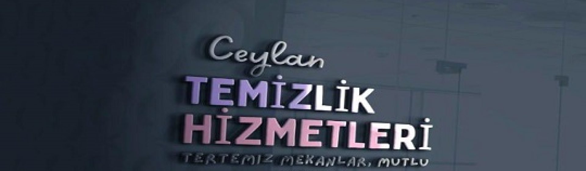 Ceylan Temizlik