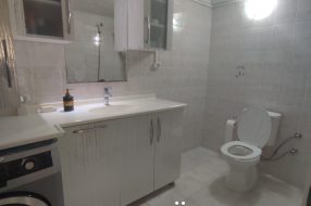 companyProduct