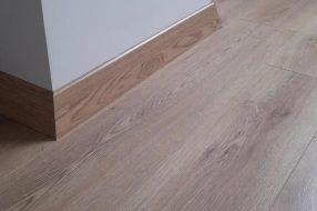 companyProduct