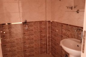companyProduct