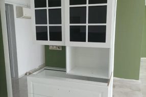 companyProduct