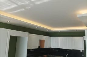 companyProduct