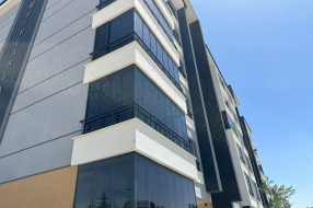 companyProduct