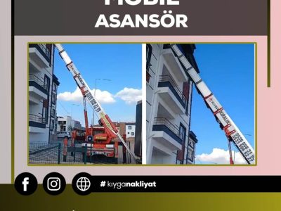 Develi Kıyga Nakliyat