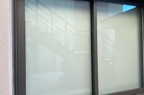 companyProduct