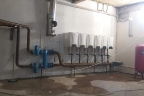 companyProduct