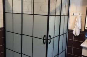companyProduct