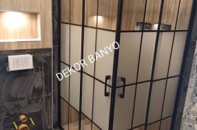 companyProduct